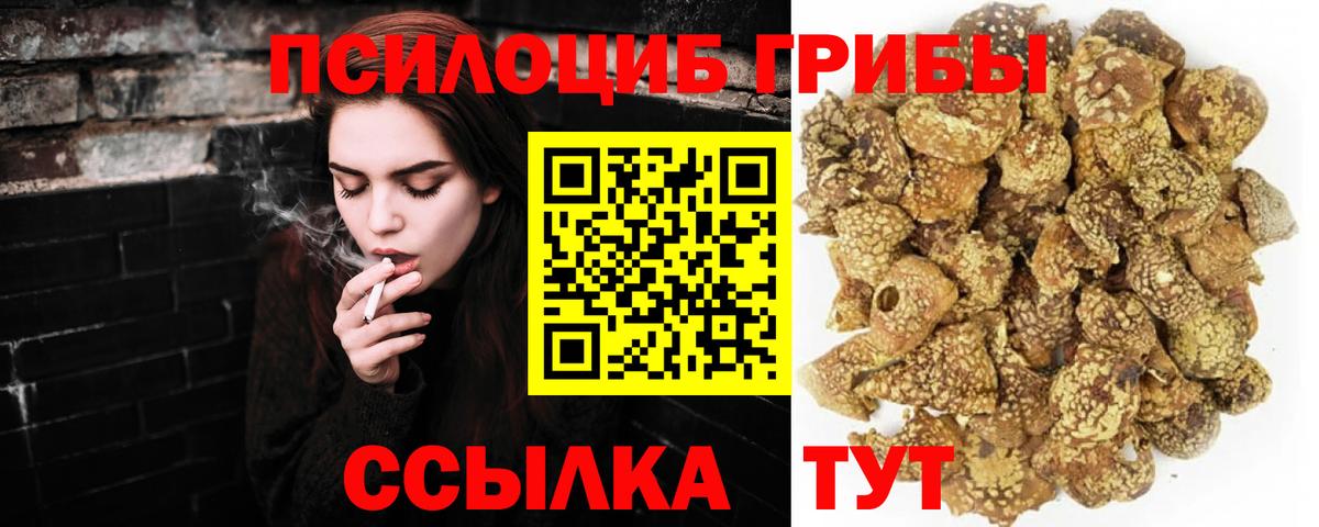 Галлюциногенные грибы мицелий  Вход с VPN  Скопин 